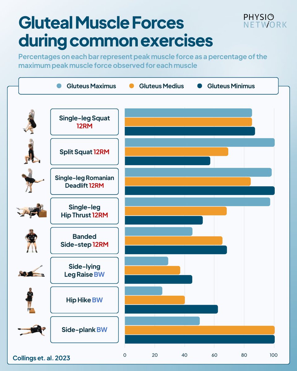 🔥 Which glute exercise packs the biggest punch?

🍑 Collings et al. (2023) set out to determine gluteal muscle forces across different exercises.

📊 The authors ranked the exercises into different tiers based on the estimated muscle forces.

🏆️ The single leg RDL with