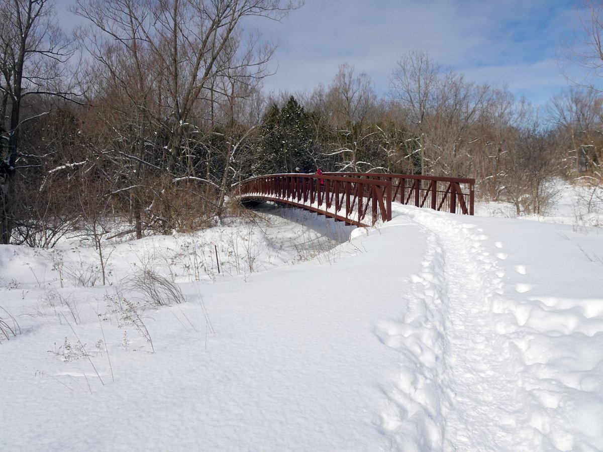 Snowshoeing in #RNUP Bob Hunter Park