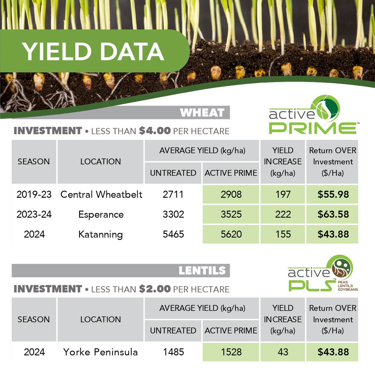 Kickstart your crops with Active AgriScience!

🌱 Active PRIME – Faster germination, stronger roots.
🌱 Active PLS – Boosts nitrogen fixation, faster emergence.
🌱 Active INFURROW – Targeted nutrition for early vigour.

activeagri.com/seed-treatments