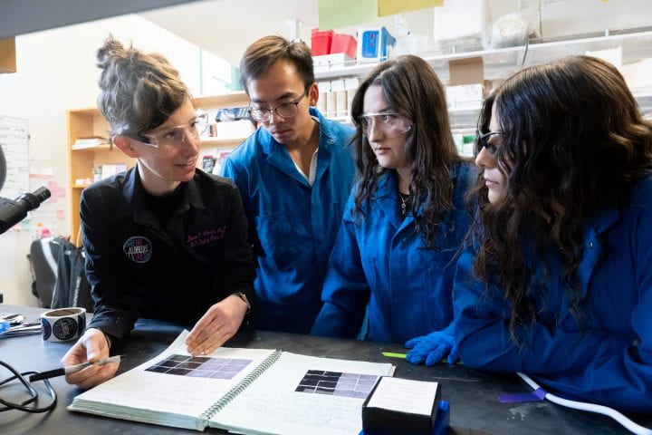 UCI School of Pharmacy & Pharmaceutical Sciences (@uci_spps) on Twitter photo The Alfred P. Sloan Foundation has named Lauren Albrecht a Sloan Research Fellow for her innovative work in cell and chemical biology. She is one of 126 early-career scientists to be recognized this year by the foundation as next-generation leaders. <a href="/TheAlbrecht_Lab/">Lauren Albrecht</a> The Alfred P. Sloan Foundation has named Lauren Albrecht a Sloan Research Fellow for her innovative work in cell and chemical biology. She is one of 126 early-career scientists to be recognized this year by the foundation as next-generation leaders. <a href="/TheAlbrecht_Lab/">Lauren Albrecht</a>