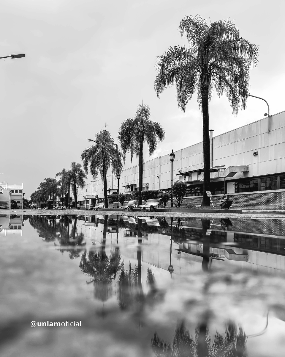 UnlamOficial's tweet photo. La belleza de Nuestra Casa resalta mucho más en blanco y negro 📸

🤍 ¿Cuál es tu foto favorita? 🖤

#UNLaM #Universidad #ByN https://t.co/loeN05o6h6