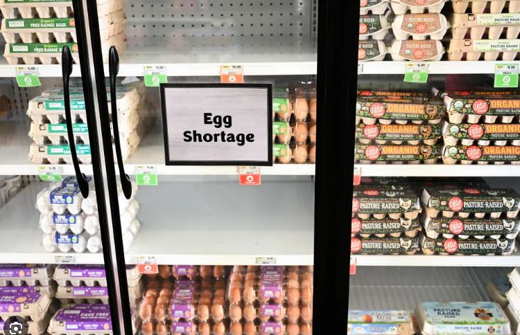 OutstateMO tweet media