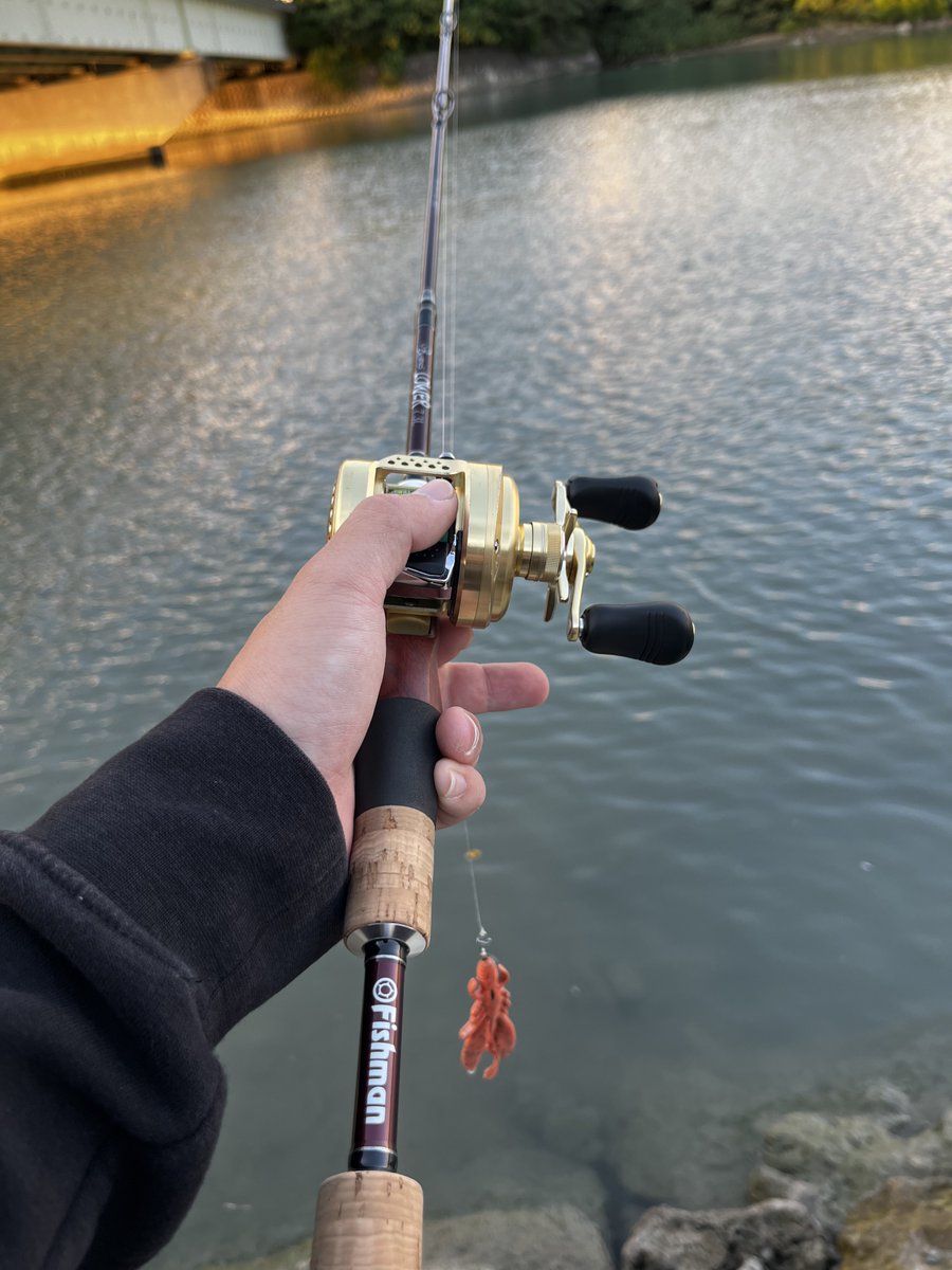 97fishingplanet's tweet photo. 南部河川でマングローブジャックとメッキ！！ https://t.co/Nm8r8qP6ZD