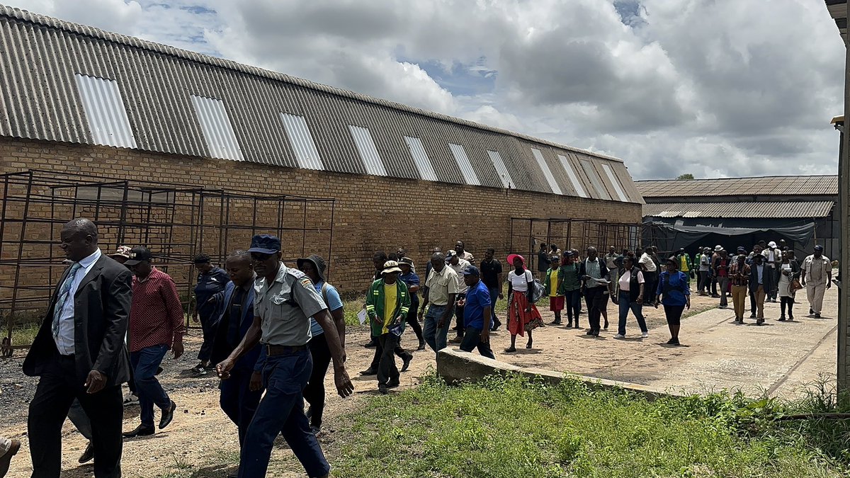 timb_zw's tweet photo. Parliamentary Portfolio Committee responsible for Agriculture, media and stakeholders tour of the Stow-Muhacha project, TIMB's village businéss unit, in Trelawney, Mashonaland West #today. TIMB is empowering rural communities to enhance sustainable livelihoods, rural development and economic growth in line with the Tobacco Value Chain Transformation Plan and the Agriculture, Food Systems and Rural Transformation Strategy. #tobacco #farming #Rural #Transformation #Empowerment #Sustainability #tips #afternoon #agriculture 
@ZBCNewsonline @NewsDayZimbabwe @DailyNewsZim @ZTNPrime @3KtvZim