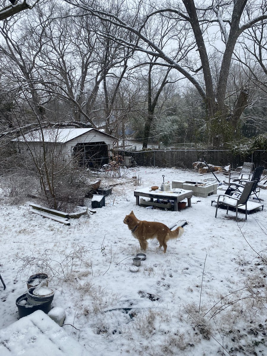 Mark Wolf (@markywolf) on Twitter photo 