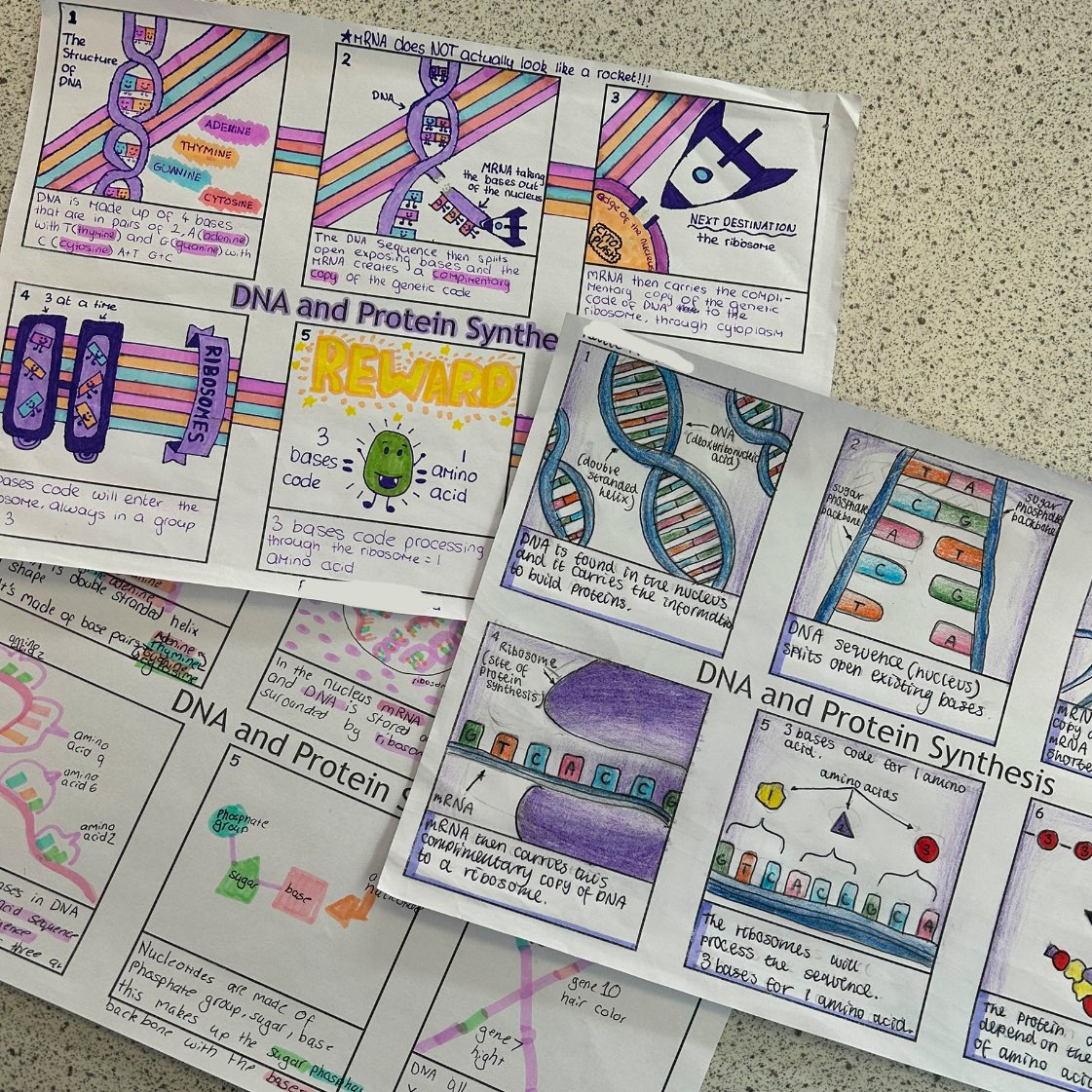 Miss Murphy (@missmurphybio) on Twitter photo A lovely consolidation period for s3 today looking at protein synthesis π¨ π§ π <a href="/BoclairBiology/">Boclair Academy Biology</a> A lovely consolidation period for s3 today looking at protein synthesis π¨ π§ π <a href="/BoclairBiology/">Boclair Academy Biology</a>