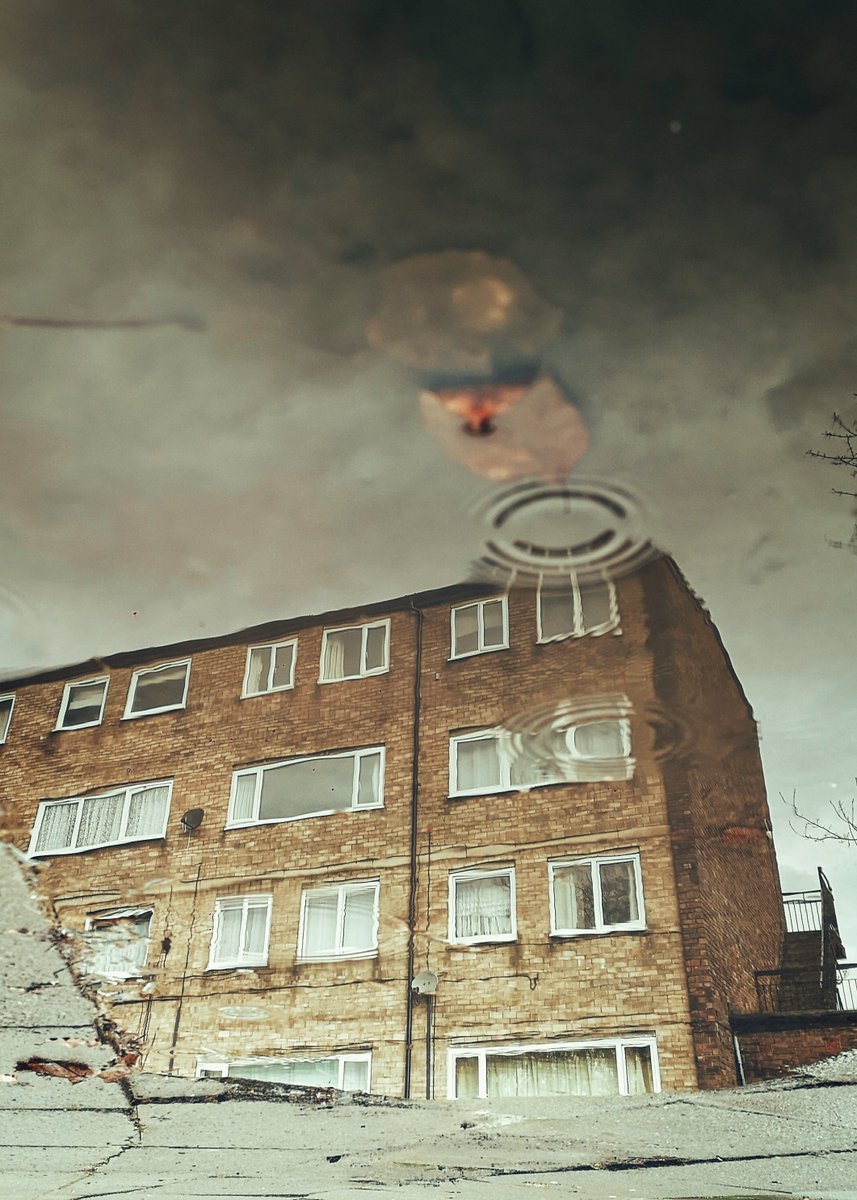 Roni Sighs tweet media