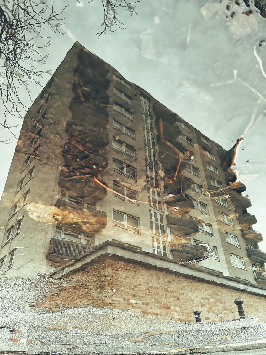 Roni Sighs tweet media