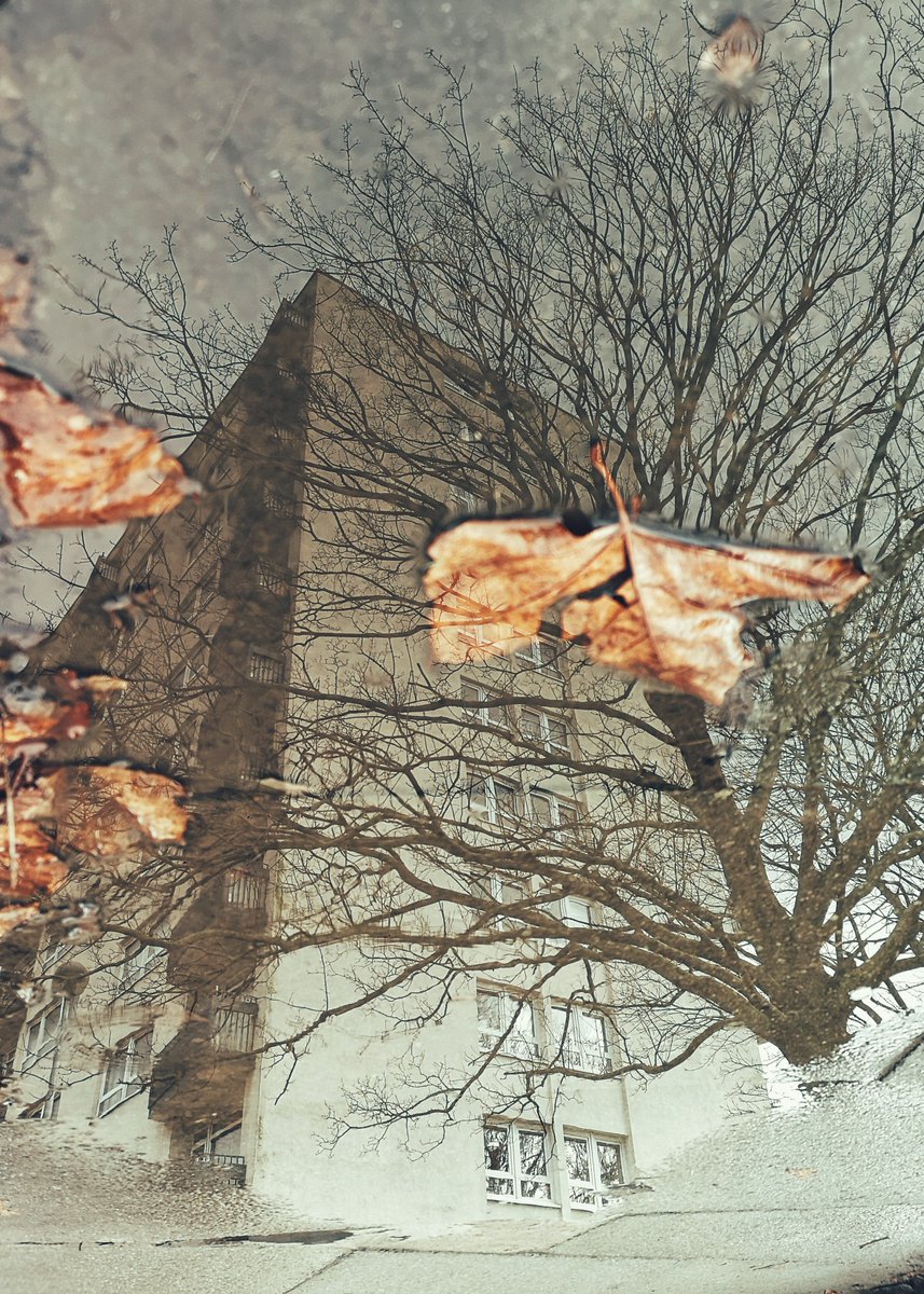 Roni Sighs tweet media