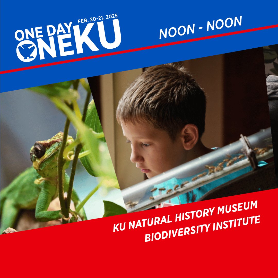 KU Natural History Museum tweet media