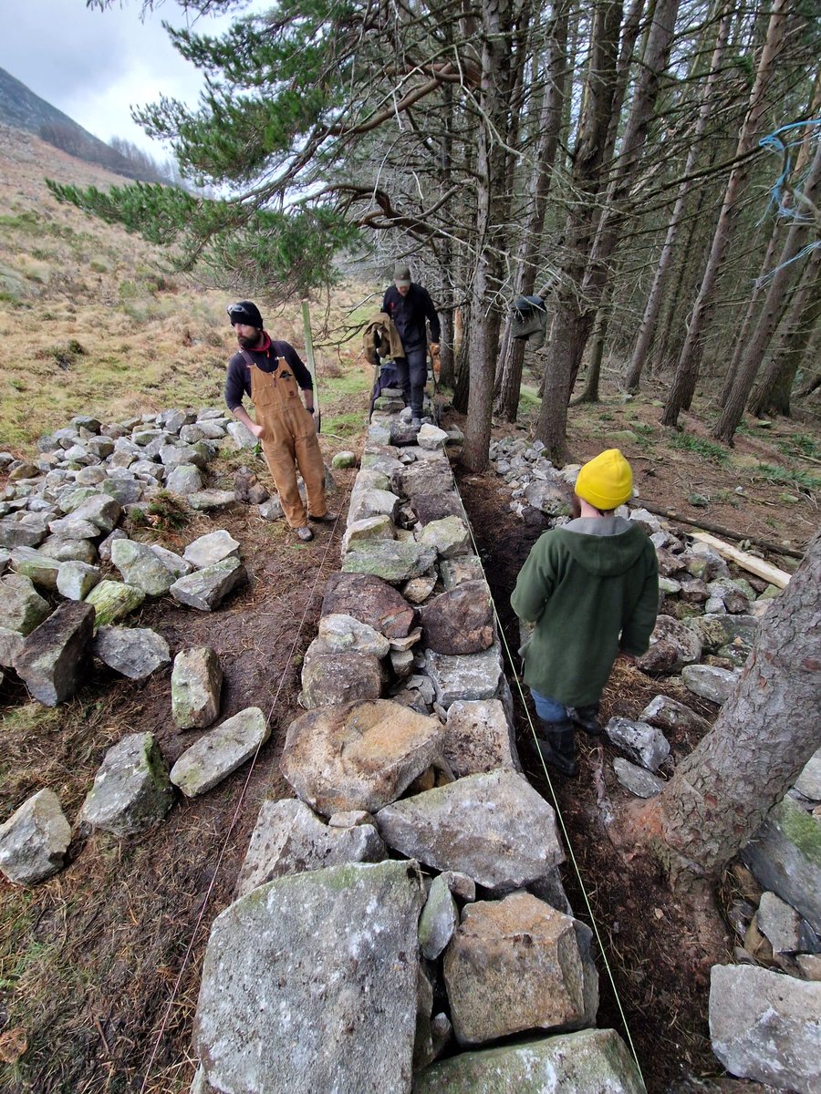 Mournes National Trust tweet media