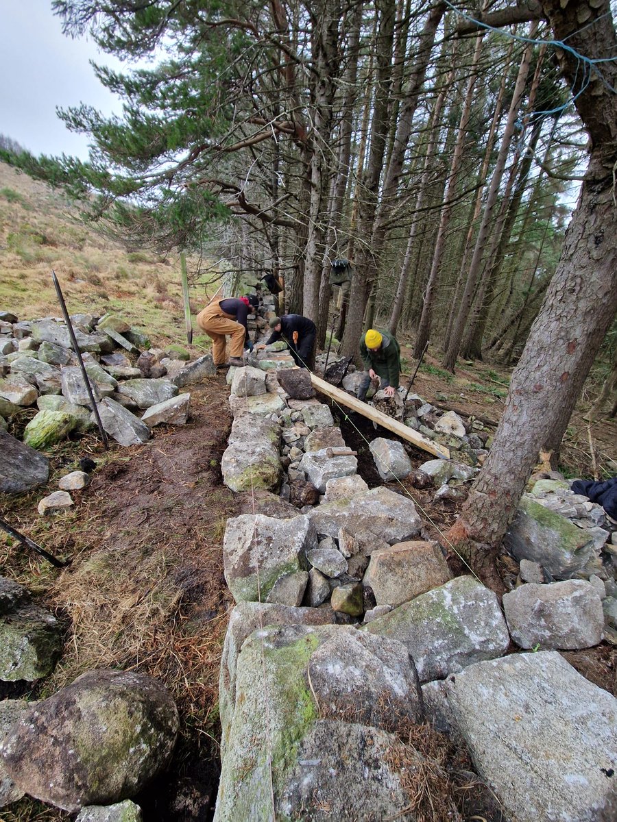 Mournes National Trust tweet media