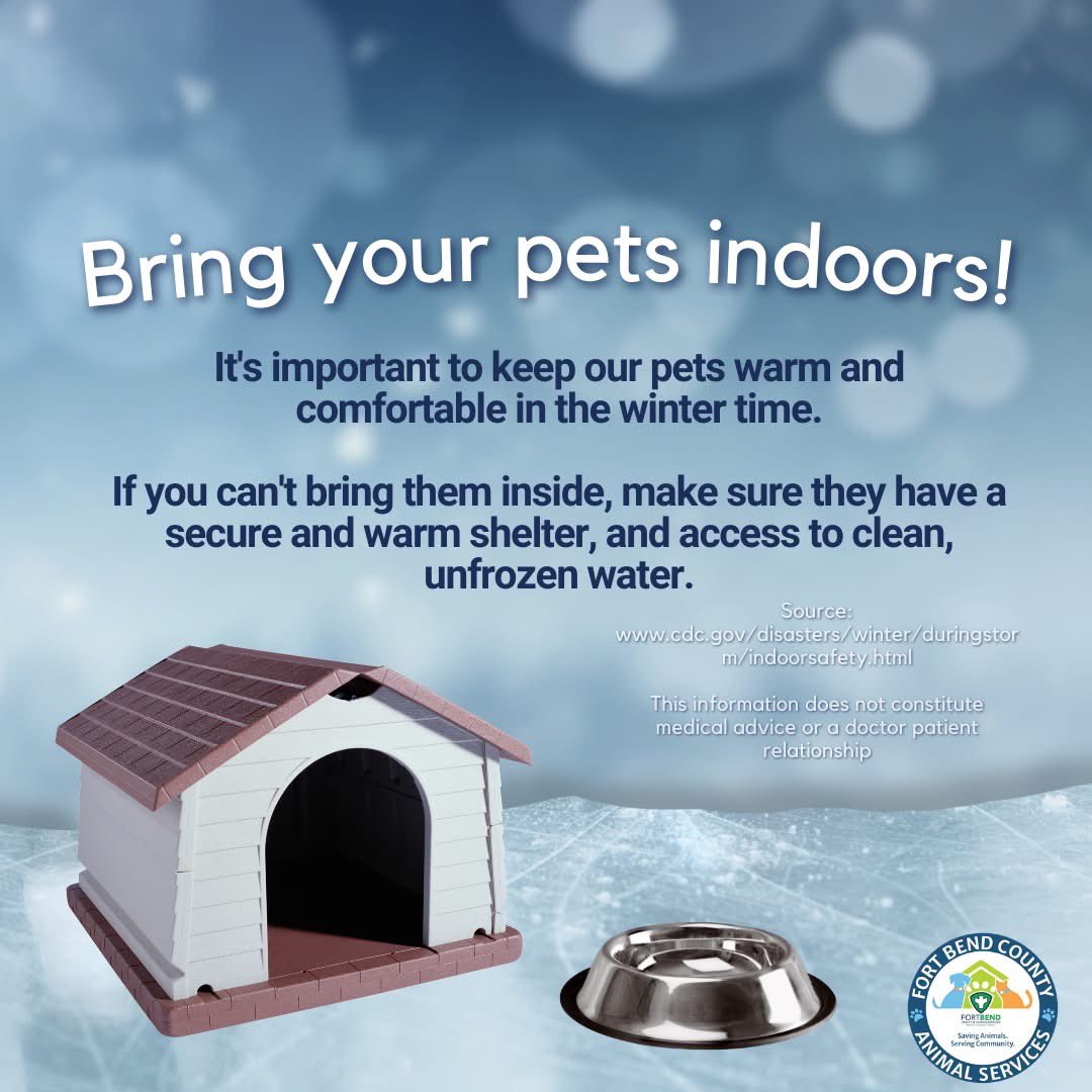 JudgeKPGeorge's tweet image. 🐾 Cold Weather Alert! ❄️ Don't forget—freezing temperatures put pets at risk too! Bring them inside and keep them warm. If it’s too cold for you, it’s too cold for them! #FortBendCounty #PetSafety #ColdWeatherAlert @fbcoem @FBCASTX