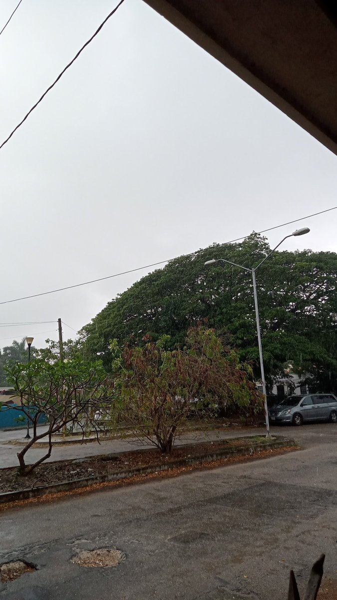 gsrincon's tweet photo. @PPvochito @ClimaYucatan Ya llueve en la colonia Alemán https://t.co/lAZP4CJizN