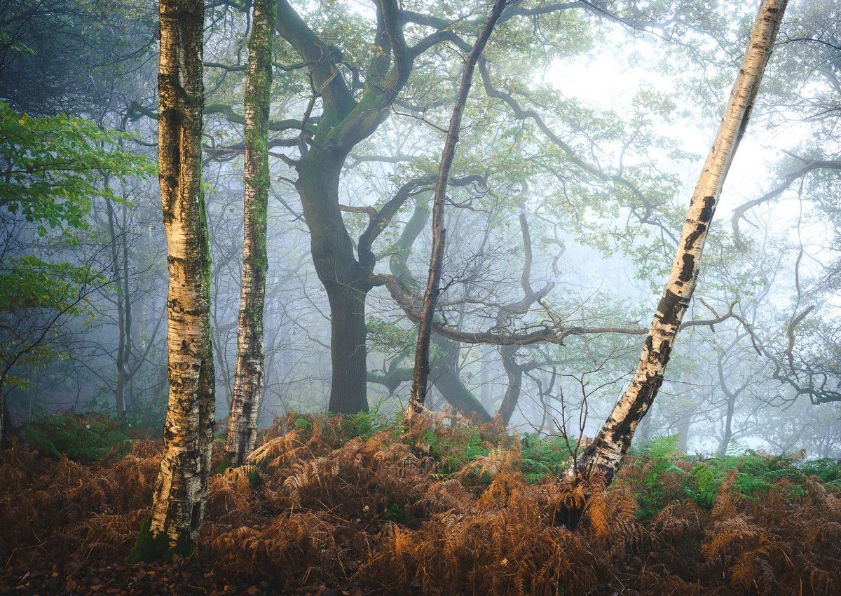 nigeldanson's tweet image. A few images from my new book, Close to Calm which will be out for pre-order soon....