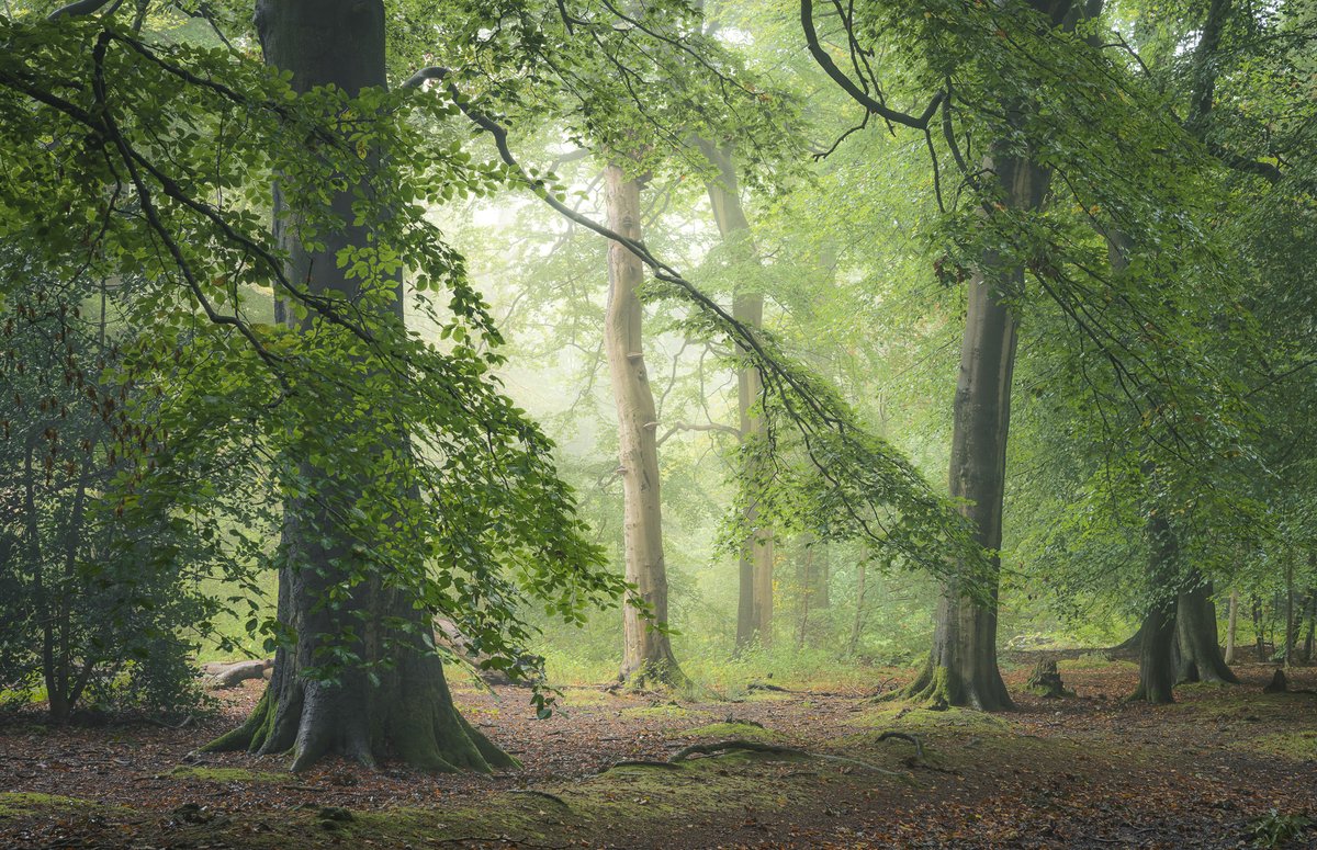 nigeldanson's tweet image. A few images from my new book, Close to Calm which will be out for pre-order soon....