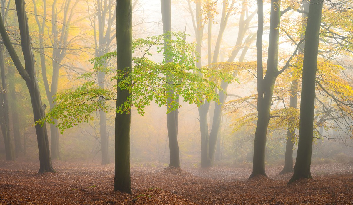 nigeldanson's tweet image. A few images from my new book, Close to Calm which will be out for pre-order soon....