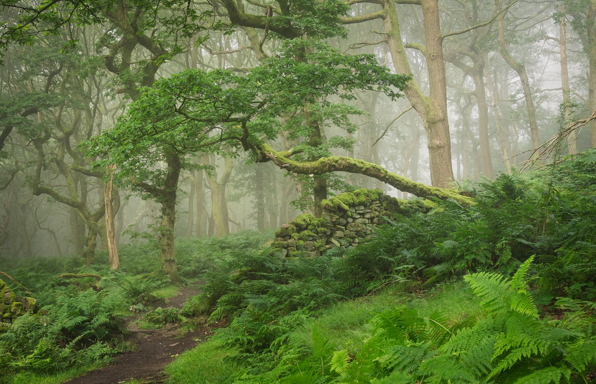 nigeldanson's tweet image. A few images from my new book, Close to Calm which will be out for pre-order soon....