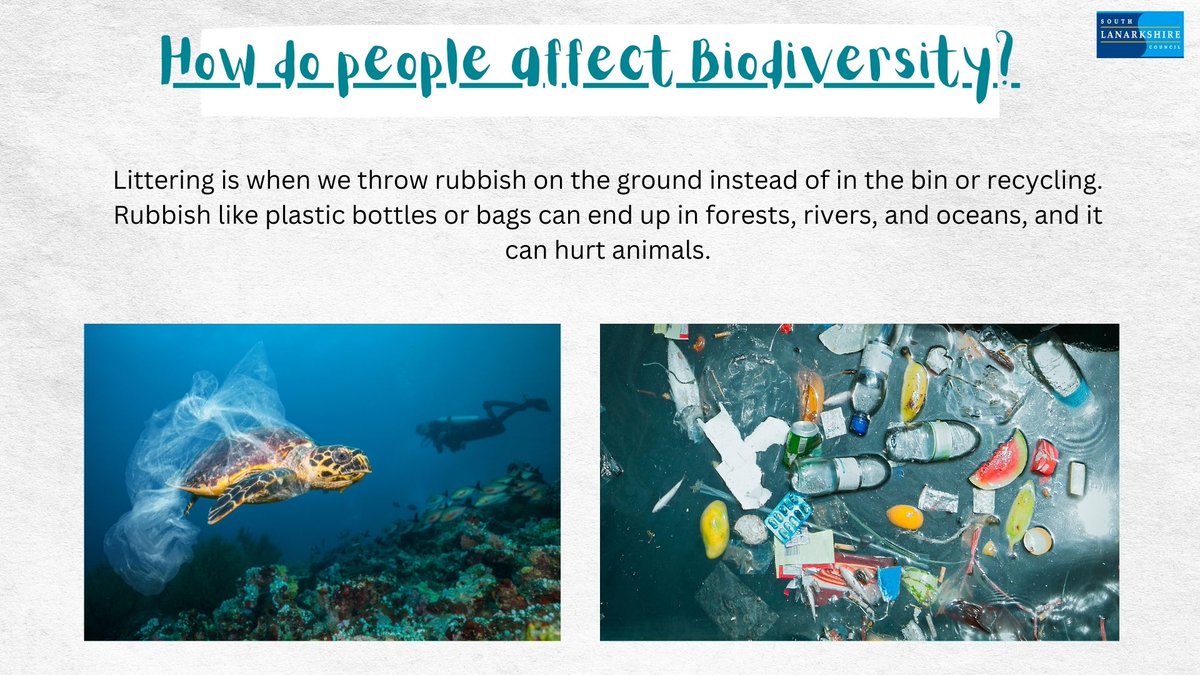 SLC STEM & Learning for Sustainability (@slc_raise) on Twitter photo Thank you all 1st level classes who joined today’s LfS live lesson on 'Understanding Biodiversity & Its Importance.' 🌎
We explored what biodiversity is & human impact on it.
30 classes and 700 children participated 👏🏽
Next week: The Impact of Plastic & Waste. ♻
<a href="/EdScotLfS/">EdScot LfS</a> Thank you all 1st level classes who joined today’s LfS live lesson on 'Understanding Biodiversity & Its Importance.' 🌎
We explored what biodiversity is & human impact on it.
30 classes and 700 children participated 👏🏽
Next week: The Impact of Plastic & Waste. ♻
<a href="/EdScotLfS/">EdScot LfS</a>