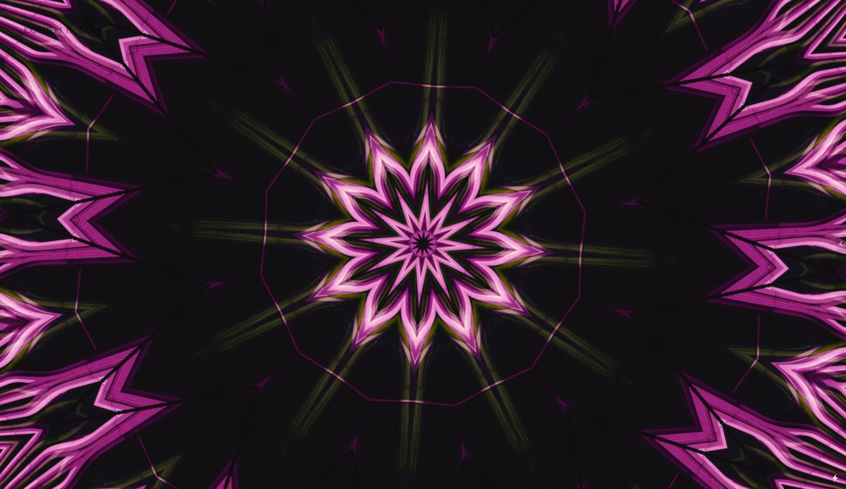 The Digital Archive tweet media