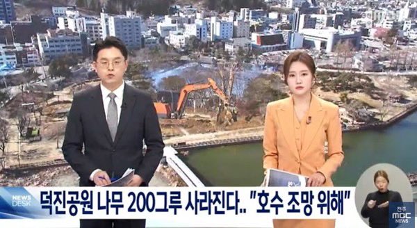 와 전주천 버드나무에 이어서 이번엔 덕진공원........

맘이 아프네요 전주시티