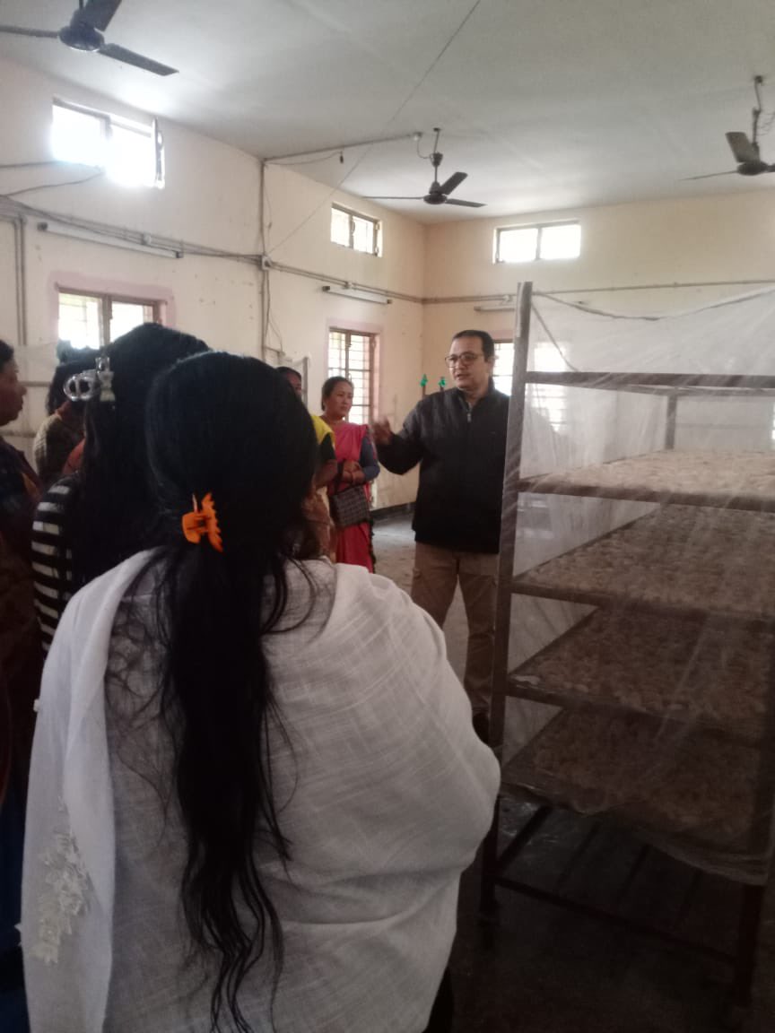 Central Silk Board, MESSO Guwahati, Assam (@mssosilk) on Twitter photo Glimpses of Day 4 ASR training on 20.02.2025: Practical demonstrations provided on host plant management, silk worm rearing and grainage operations. Technical inputs and advancements thoroughly discussed by OIC during CBT at P3 MESSO, Hahim. <a href="/csbmot/">Central Silk Board Ministry of Textiles</a> <a href="/TexMinIndia/">Ministry of Textiles</a> <a href="/PIBTextiles/">PIB Textiles</a> Glimpses of Day 4 ASR training on 20.02.2025: Practical demonstrations provided on host plant management, silk worm rearing and grainage operations. Technical inputs and advancements thoroughly discussed by OIC during CBT at P3 MESSO, Hahim. <a href="/csbmot/">Central Silk Board Ministry of Textiles</a> <a href="/TexMinIndia/">Ministry of Textiles</a> <a href="/PIBTextiles/">PIB Textiles</a>