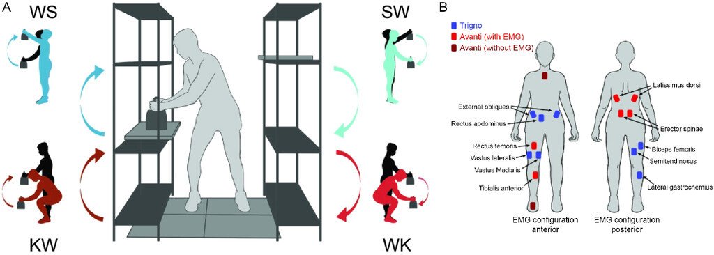 Jenny Leestma (@jenniferleestma) on Twitter photo Our new paper is out! This was a fun collab across labs <a href="/MEGeorgiaTech/">Georgia Tech ME</a>, led by Dr. <a href="/fel_davenport/">Felicia Davenport</a>.
Title: EMG-informed estimates of joint contact forces within the lower back and knee joints during a diverse set of industry-relevant manual lifting tasks
shorturl.at/tdl3B Our new paper is out! This was a fun collab across labs <a href="/MEGeorgiaTech/">Georgia Tech ME</a>, led by Dr. <a href="/fel_davenport/">Felicia Davenport</a>.
Title: EMG-informed estimates of joint contact forces within the lower back and knee joints during a diverse set of industry-relevant manual lifting tasks
shorturl.at/tdl3B