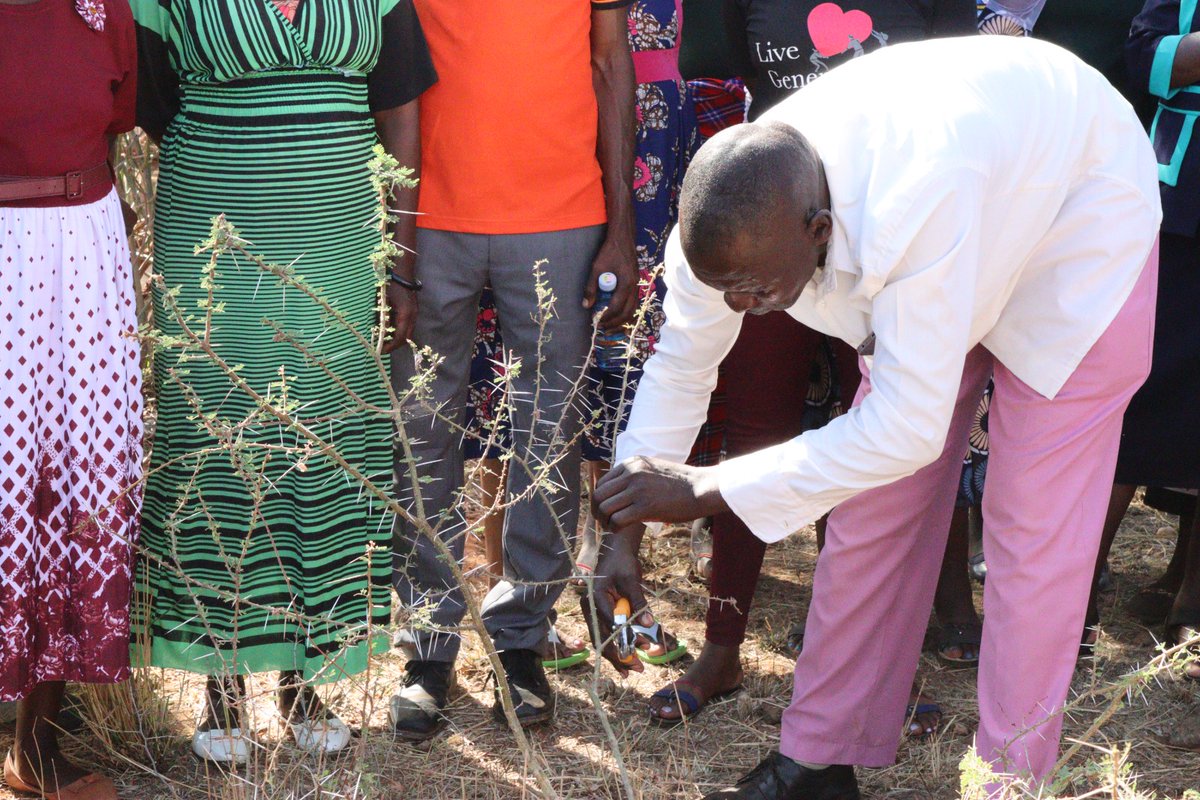 NCCK Nature Positive Food Systems tweet media