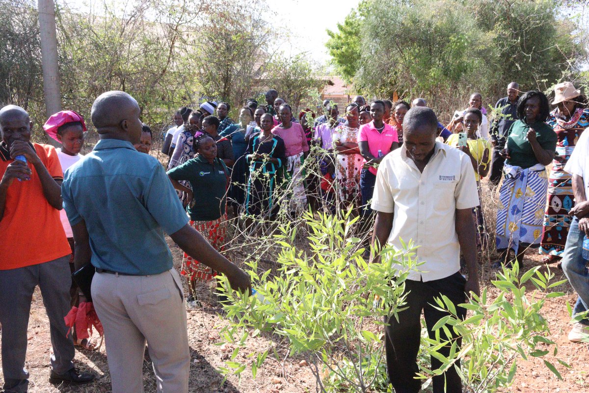 NCCK Nature Positive Food Systems tweet media