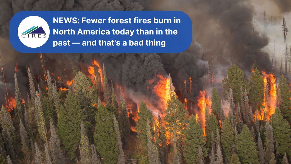 CIRES (@ciresnews) on Twitter photo Fewer wildfires burn in North American forests today than in previous centuries, according to research led by <a href="/usfs_rmrs/">Rocky Mountain Research Station</a> and CIRES. But that's not good news — less frequent fires cause fuel to build up, creating conditions for severe fires.
cires.colorado.edu/news/fewer-for… Fewer wildfires burn in North American forests today than in previous centuries, according to research led by <a href="/usfs_rmrs/">Rocky Mountain Research Station</a> and CIRES. But that's not good news — less frequent fires cause fuel to build up, creating conditions for severe fires.
cires.colorado.edu/news/fewer-for…