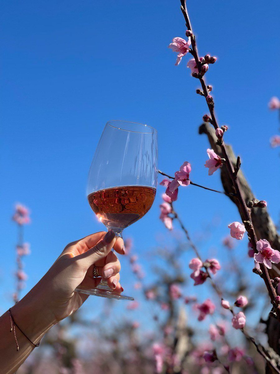 Al febrer, creix la flor de l'ametller! 🌸 
Ara, tenyeix de rosa i de blanc els paisatges, cosa que ens encanta i ens inspira! 😍 
És, sense dubte, la imatge més maca del mes de febrer. 
Nosaltres tenim ganes de primavera i verdor, i tu? 
#cellermasroig #ametllers #lessortsrosat