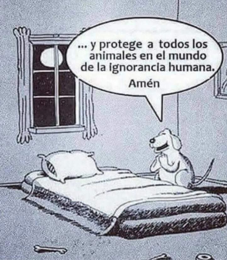 Vicente Riofrio Diaz (@vicenteriofriod) on Twitter photo 