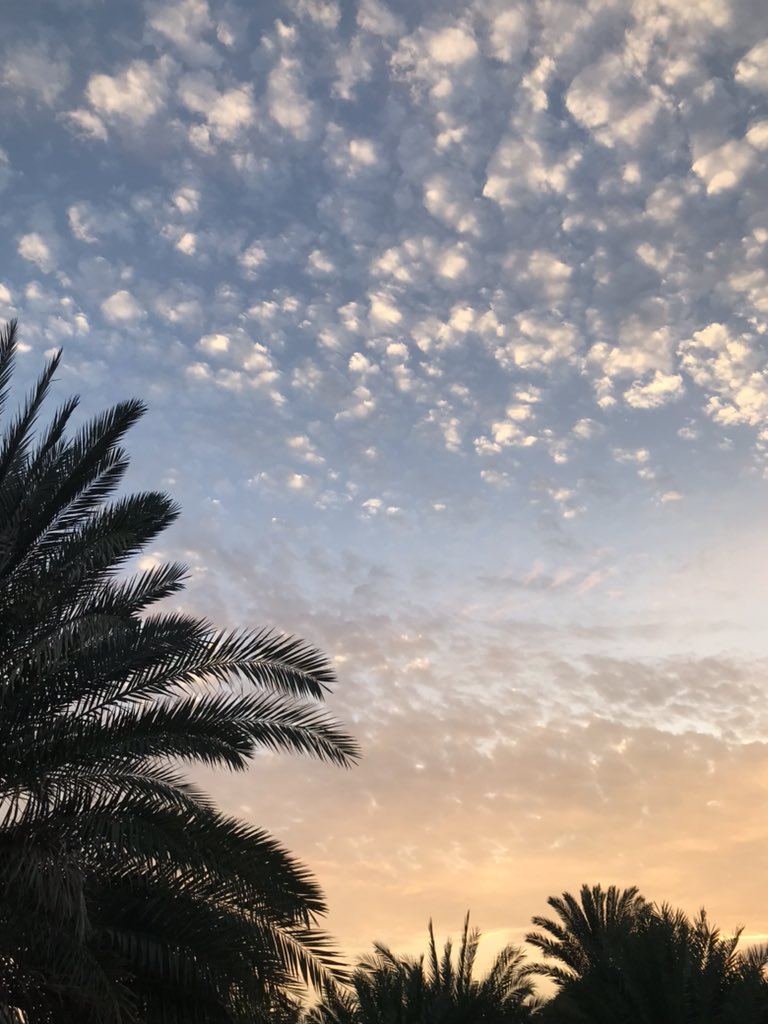 bu_22x's tweet photo. عشوائيات الأسبوع 💗💗✨ https://t.co/fFCowCWDcj
