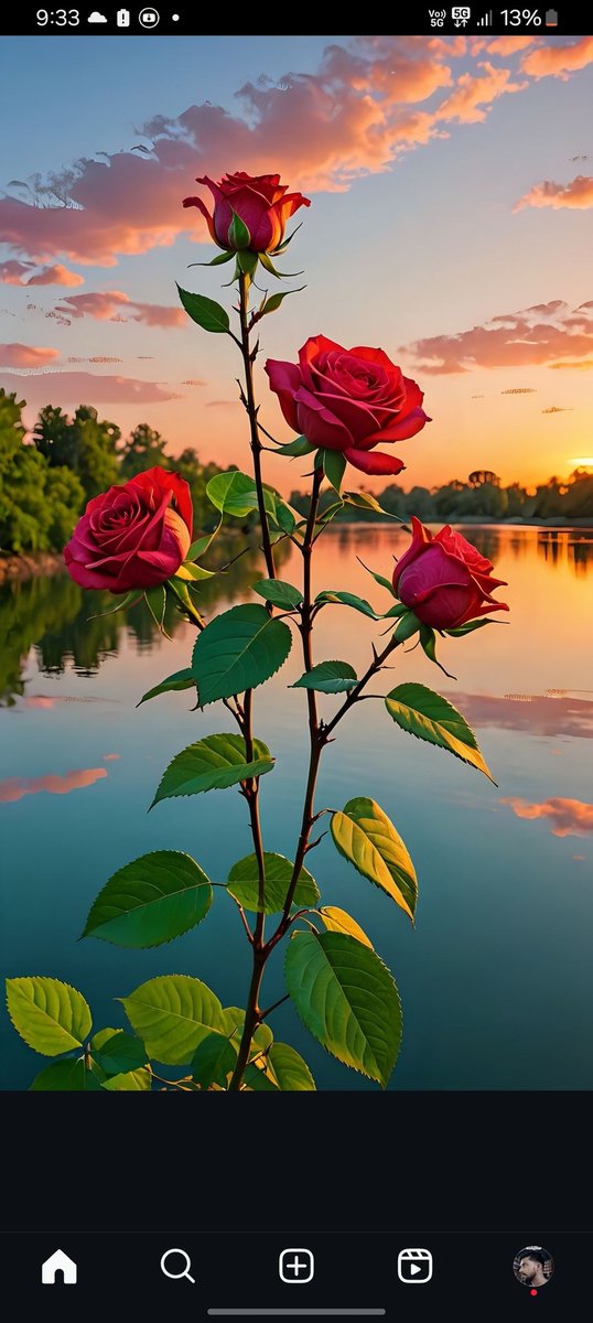 Good night dear friend 🧡 

शुभ  प्रभात  मित्रों 
Good night 👏👏👏🙏🙏🙏