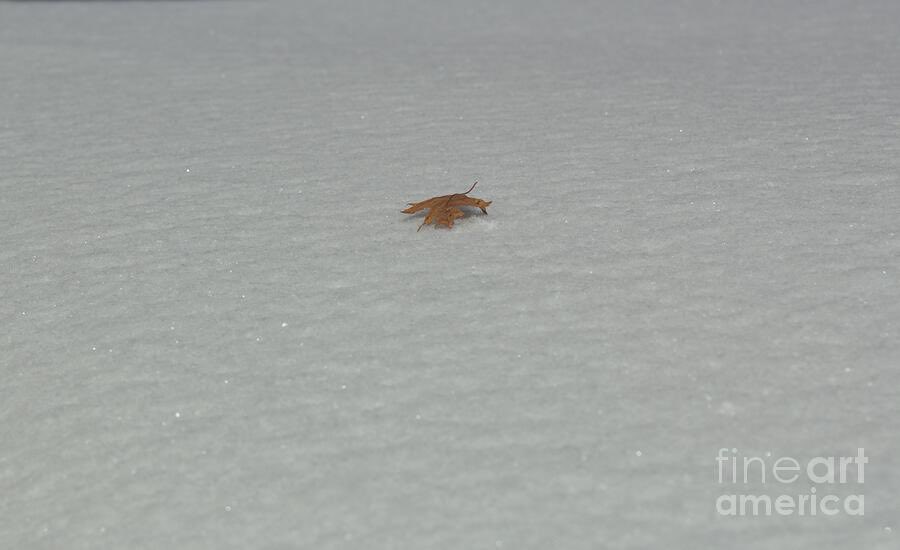 ArtworkBaker's tweet photo. One Lonely Leaf Amongst the Snow artwork now available! https://t.co/d1gzsbWpZI
#Snow #WinterWonderland #SnowyLandscape #SnowScenes #SnowPhotography #FrozenBeauty #MinimalismArt #ArtMinimalism #SimplicityInArt #ArtisticSimplicity #PureForm #SubtleArt #ArtAndSimplicity https://t.co/kDkFCNHf44