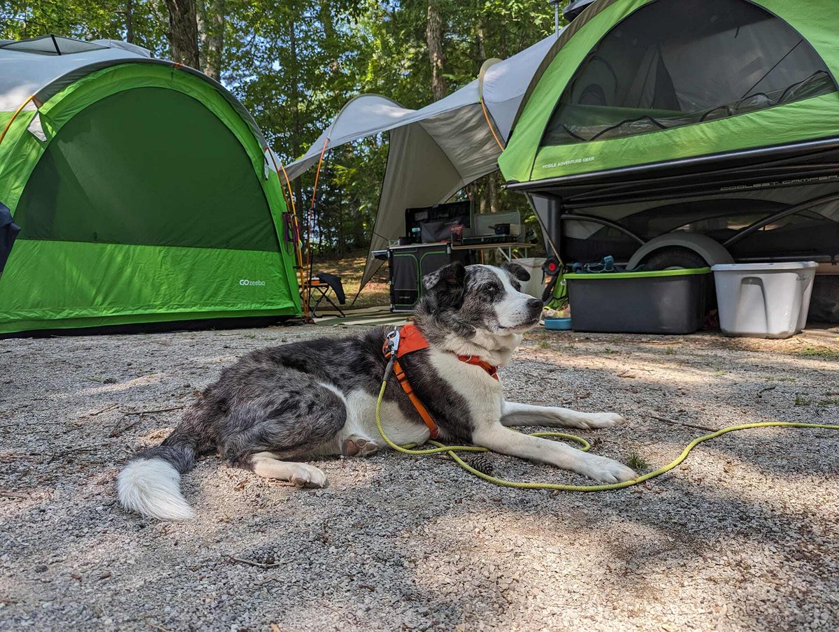 SylvanSport tweet media