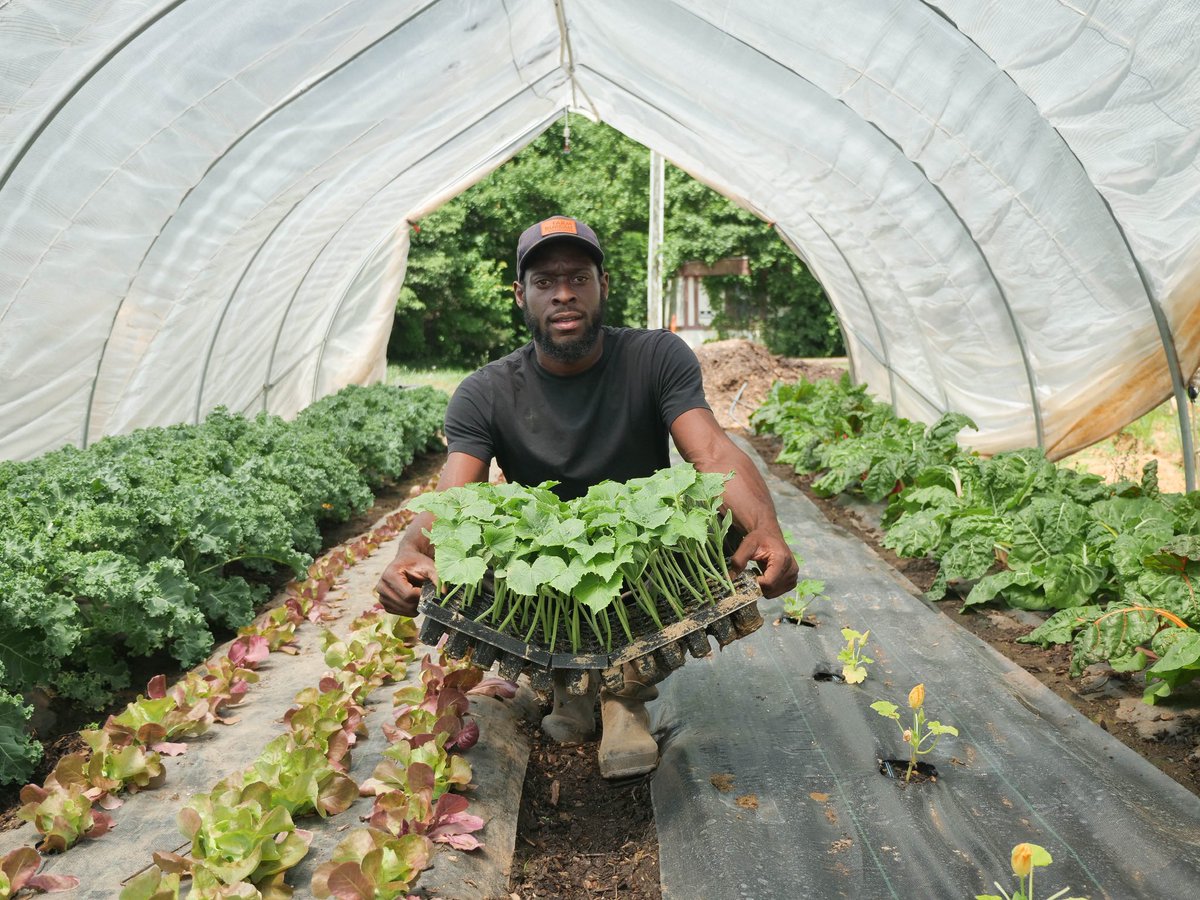As a 25-year-old, I started a farm from scratch in 2016. If I were applying for a USDA loan in 2025 (assuming the funding freeze gets sorted), here’s exactly what I’d do: 🧵