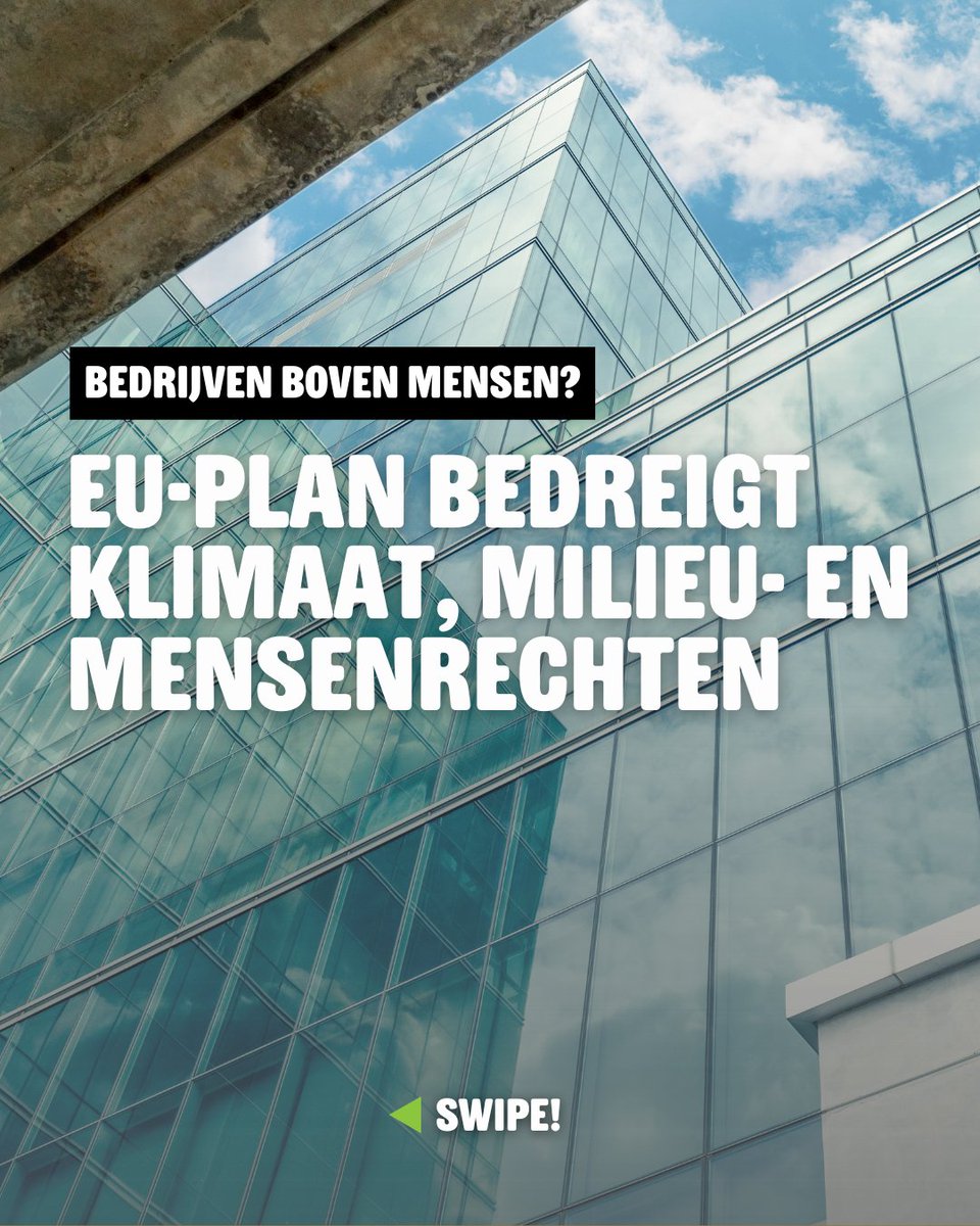 milieudefensie's tweet image. 🚨 Te vroeg gejuicht? Klimaat, milieu- en mensenrechten in gevaar! 

De Omnibus dreigt EU-regels voor verantwoord ondernemen af te zwakken. Deze week vergadert de #EuropeseCommissie. @WBHoekstra, spreek je uit en verdedig deze belangrijke regels! ✊

#NoToOmnibus #YesToCSDDD