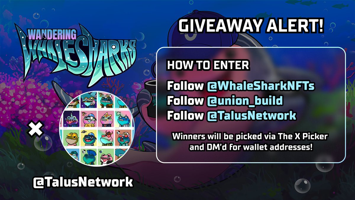 WhaleSharkNFTs's tweet image. 🚨 Giveaway Alert! 🚨

We're giving away 5 WL spots for Tallys, @TalusNetwork’s community NFT collection on Sui! 🏆

How to enter:
1️⃣ Like ❤️ + RT 🔁 this post
2️⃣ Follow @TalusNetwork, @WhaleSharkNFTs &amp;amp; @union_build

Contest ends Feb 22 @ 11:59pm UTC
