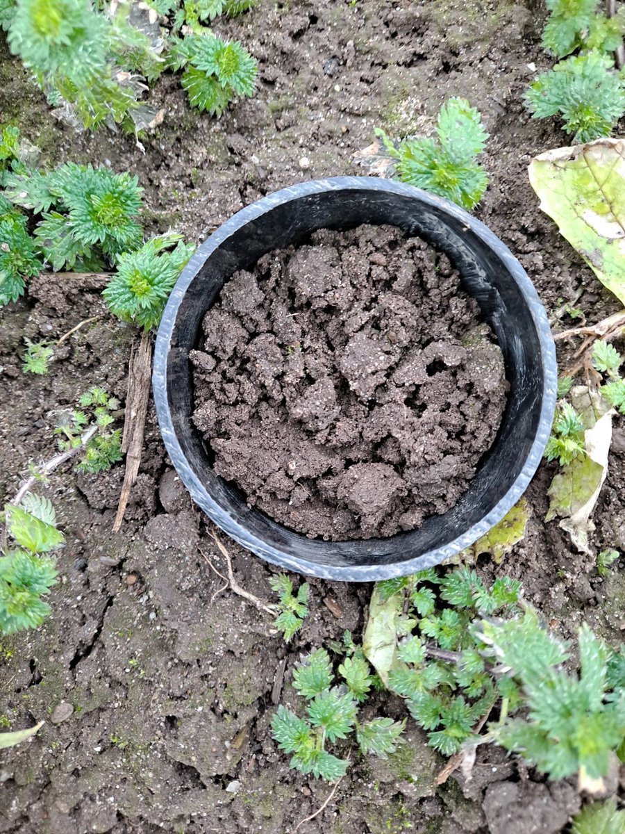 HannahVCooper's tweet image. 🌾Excellent morning  taking the first lot of samples for our newly funded project with @UM6P_officiel 

🚜Excited for @SophiaBahddou to come over in March with her samples to use the @UoNHounsfield 

🌱Looking at multiscale soil processes across different land use managements