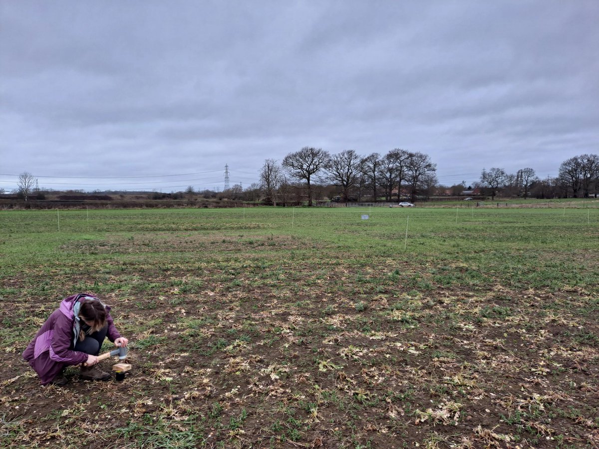 HannahVCooper's tweet image. 🌾Excellent morning  taking the first lot of samples for our newly funded project with @UM6P_officiel 

🚜Excited for @SophiaBahddou to come over in March with her samples to use the @UoNHounsfield 

🌱Looking at multiscale soil processes across different land use managements