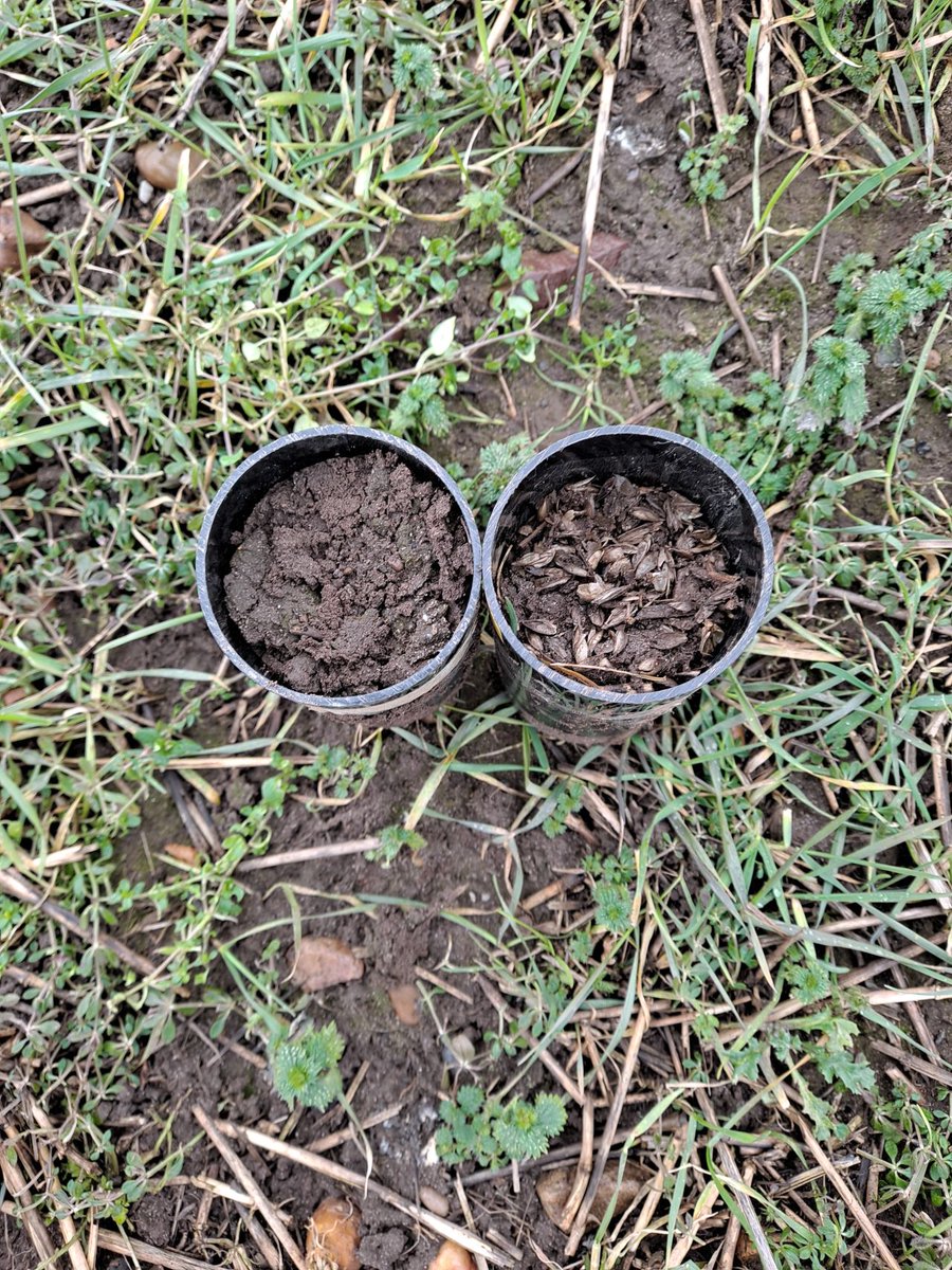 HannahVCooper's tweet image. 🌾Excellent morning  taking the first lot of samples for our newly funded project with @UM6P_officiel 

🚜Excited for @SophiaBahddou to come over in March with her samples to use the @UoNHounsfield 

🌱Looking at multiscale soil processes across different land use managements