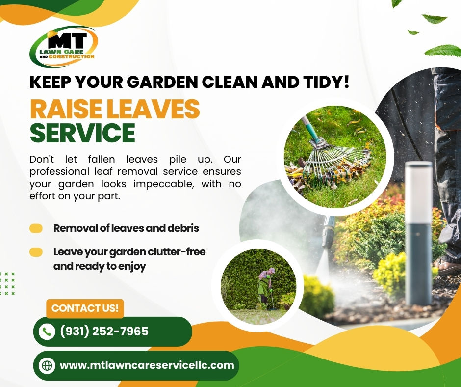 mtlawancare's tweet photo. At MT Lawn Care Service LLC, we take care of every leaf removal to keep your home or business looking pristine and safe. Our leaf removal service not only improves the aesthetics of your green areas, but also promotes a healthier, risk-free environment.

#Landscaping #leafremoval https://t.co/8skq57OaAH