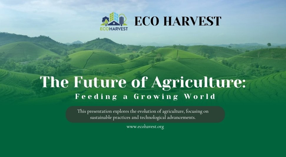 Ecohavest's tweet photo. The future of agriculture is here! 🌱🌍 Join us as we explore sustainable farming practices and groundbreaking technology to feed a growing world. #EcoHarvest #SustainableFarming #FutureOfAgriculture #TechInAg #GreenRevolution #ecotoken https://t.co/36lkbCyHnm