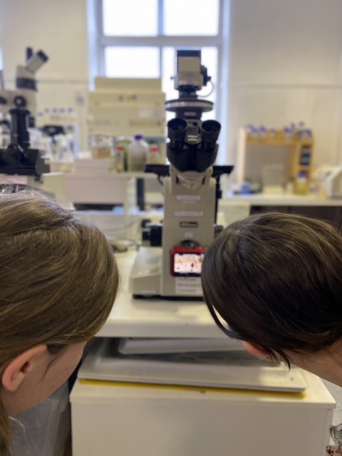 ASCUS Art & Science tweet media