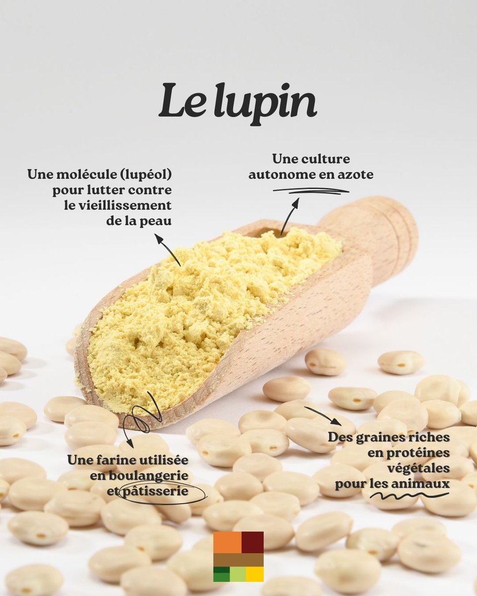 Terres OléoPro tweet media