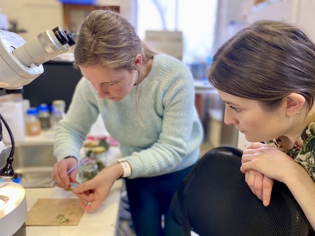 ASCUS Art & Science tweet media