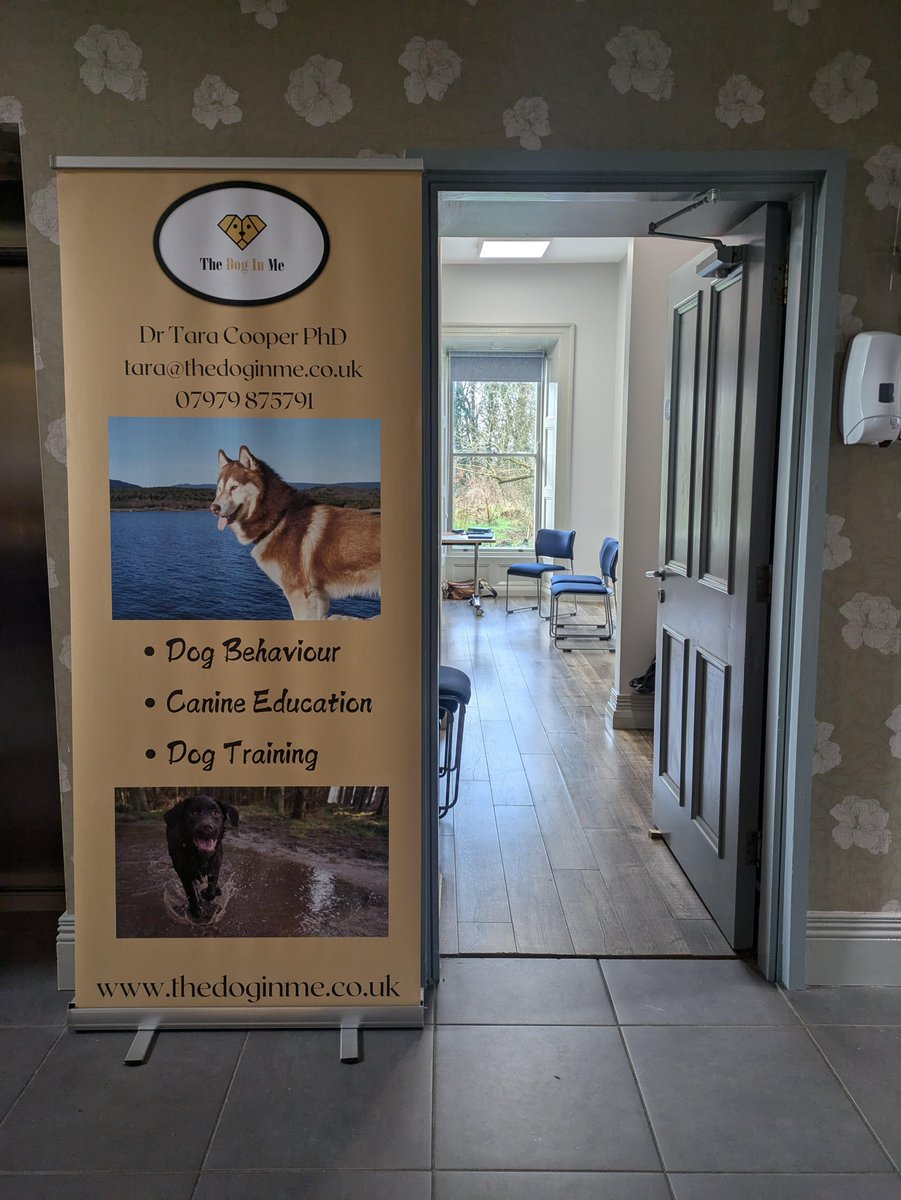 tarathedoginme's tweet photo. Proud to be part of Discover Dogs @niscifest 2025 https://t.co/TmQupOqMnm