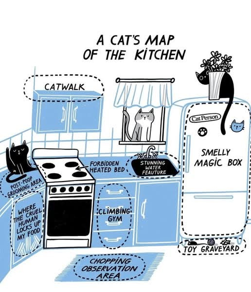 Never let it be said that cats aren't good explorers that keep track of what various locations are for. We don't know who the artist is but it's a fun drawing.