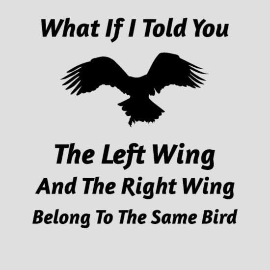 ProudSocialist's tweet photo. Wake up America and free yourself from the chains of the corrupt two-party system. A better world is possible! https://t.co/yh0dI4FD2f